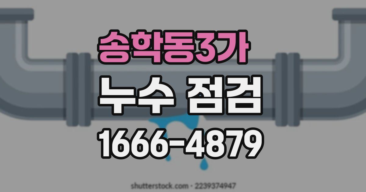 송학동3가 누수 점검