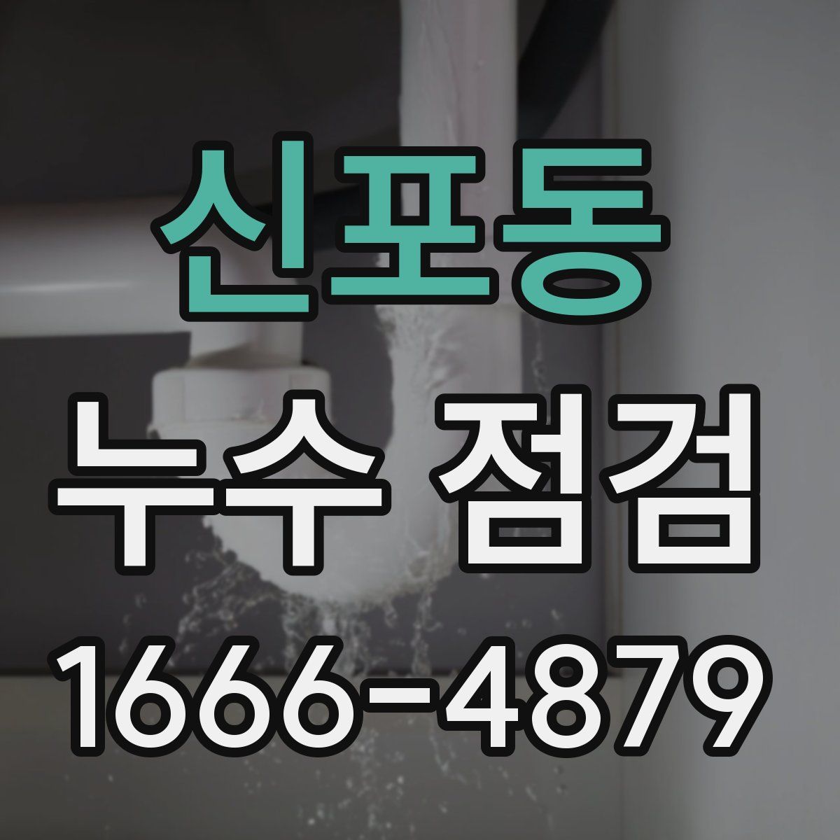 신포동 누수 점검