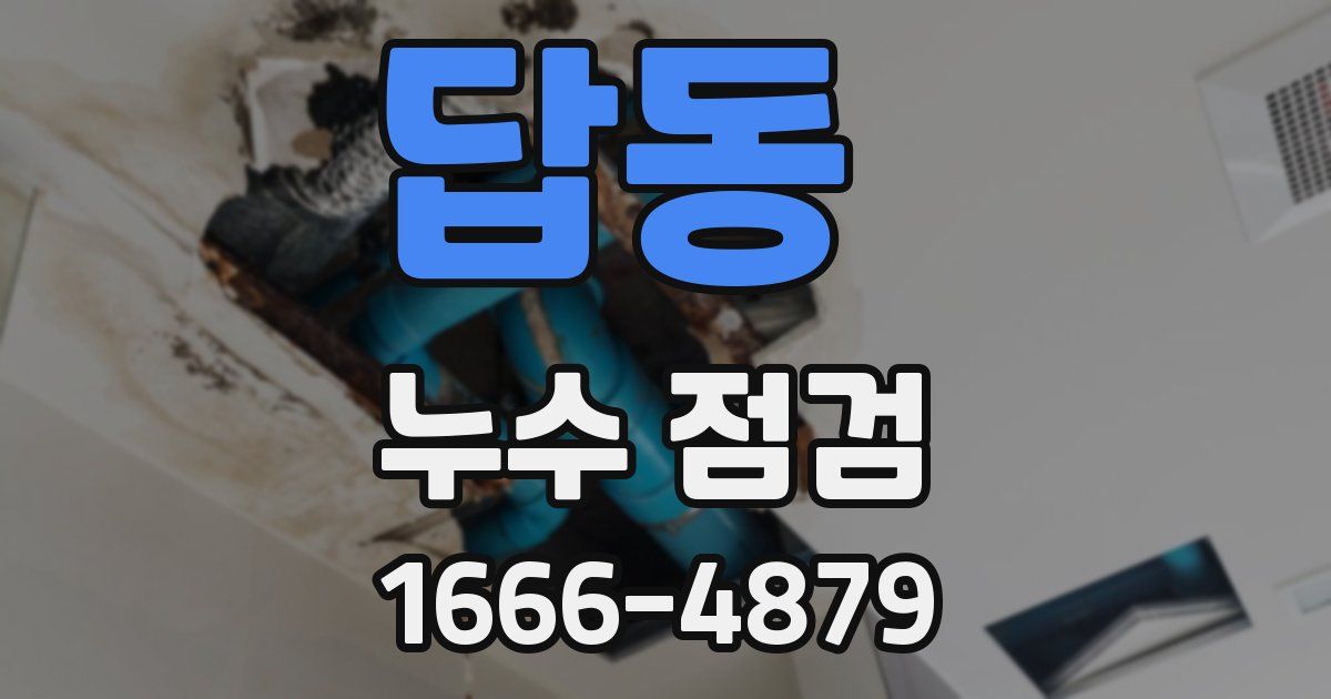 답동 누수 점검