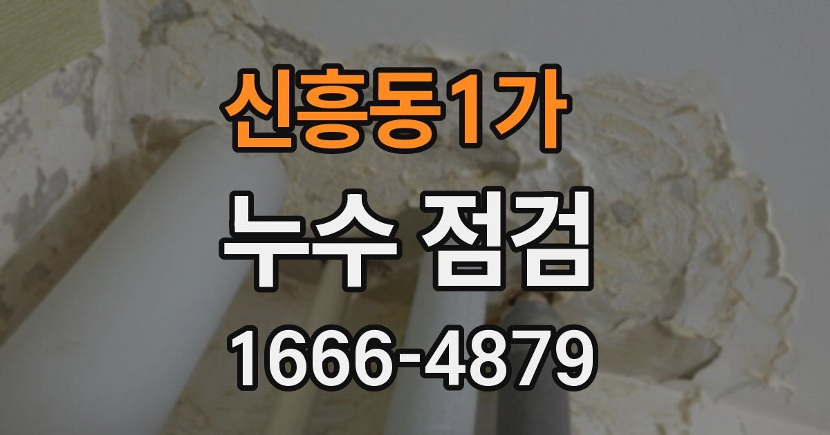 신흥동1가 누수 점검