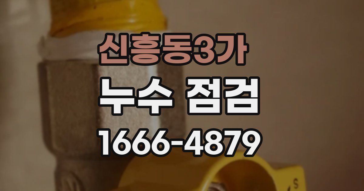 신흥동3가 누수 점검