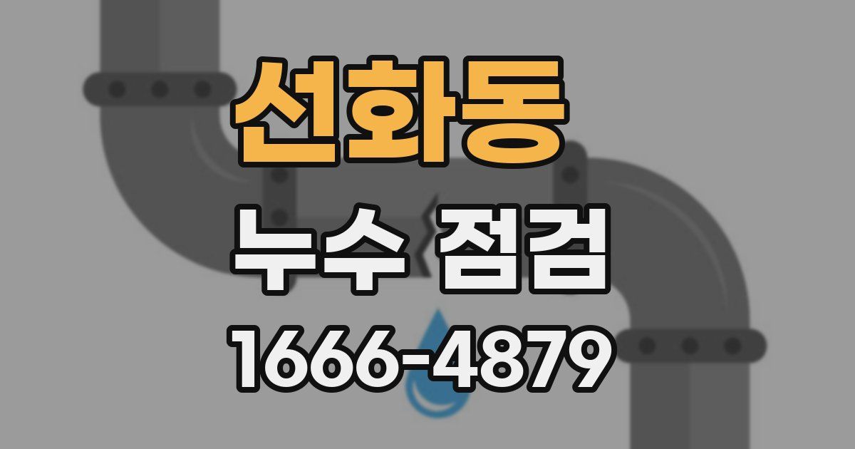 선화동 누수 점검