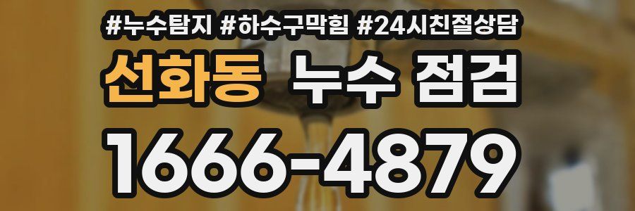 선화동 누수 점검