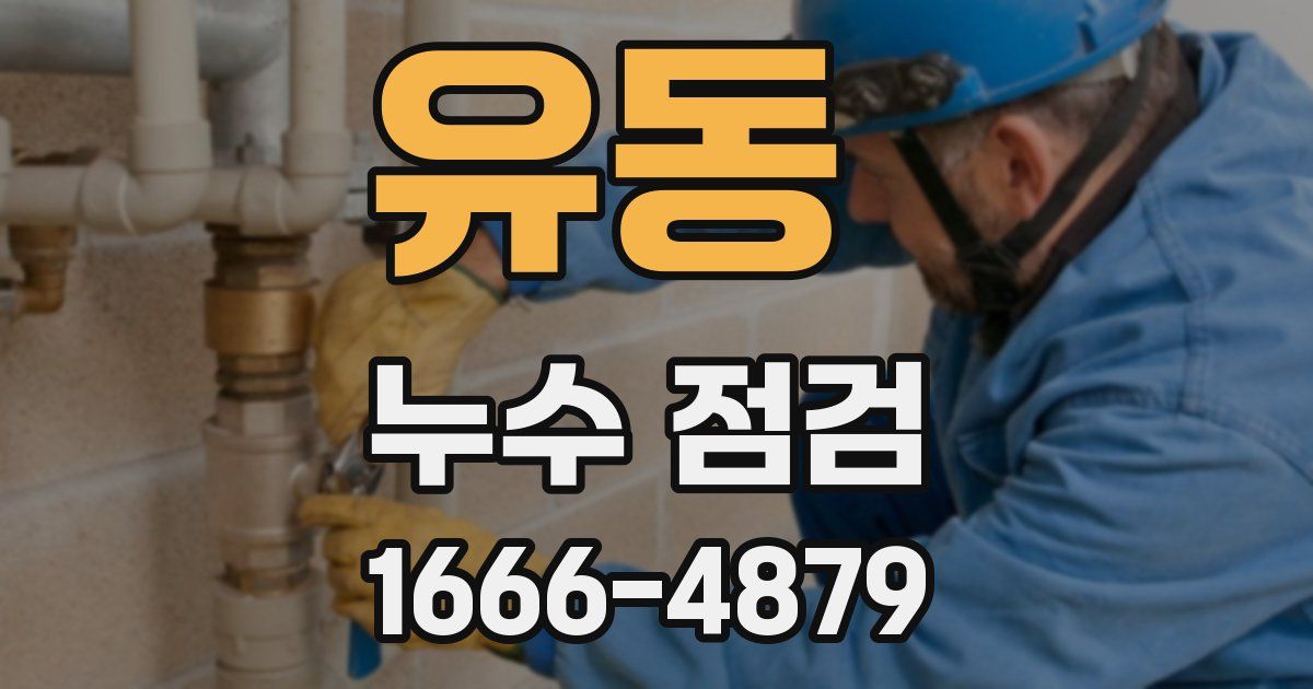 유동 누수 점검