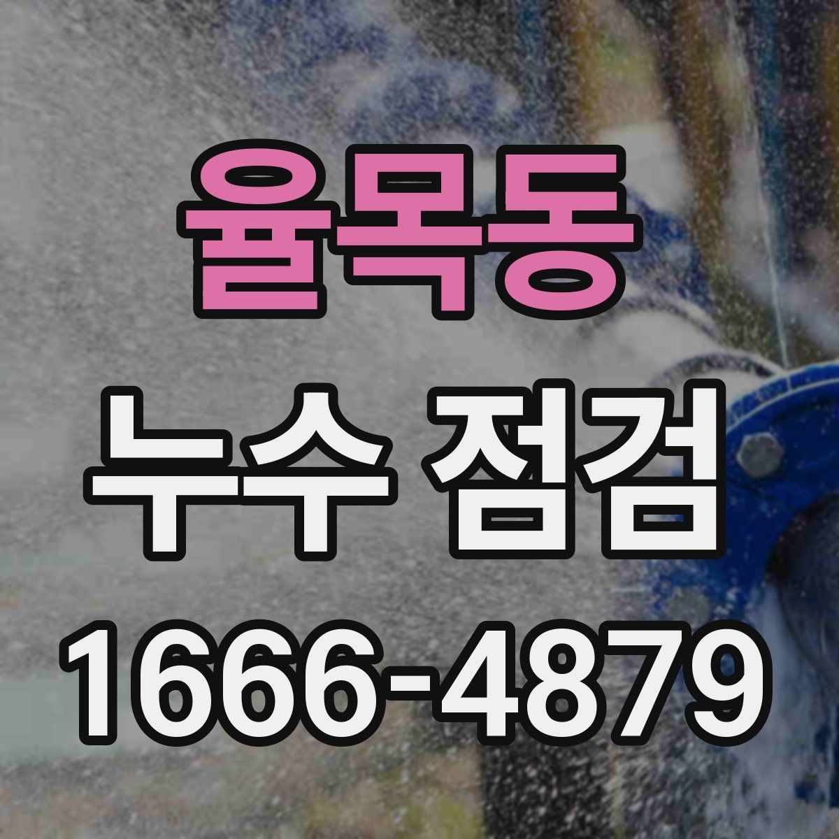율목동 누수 점검