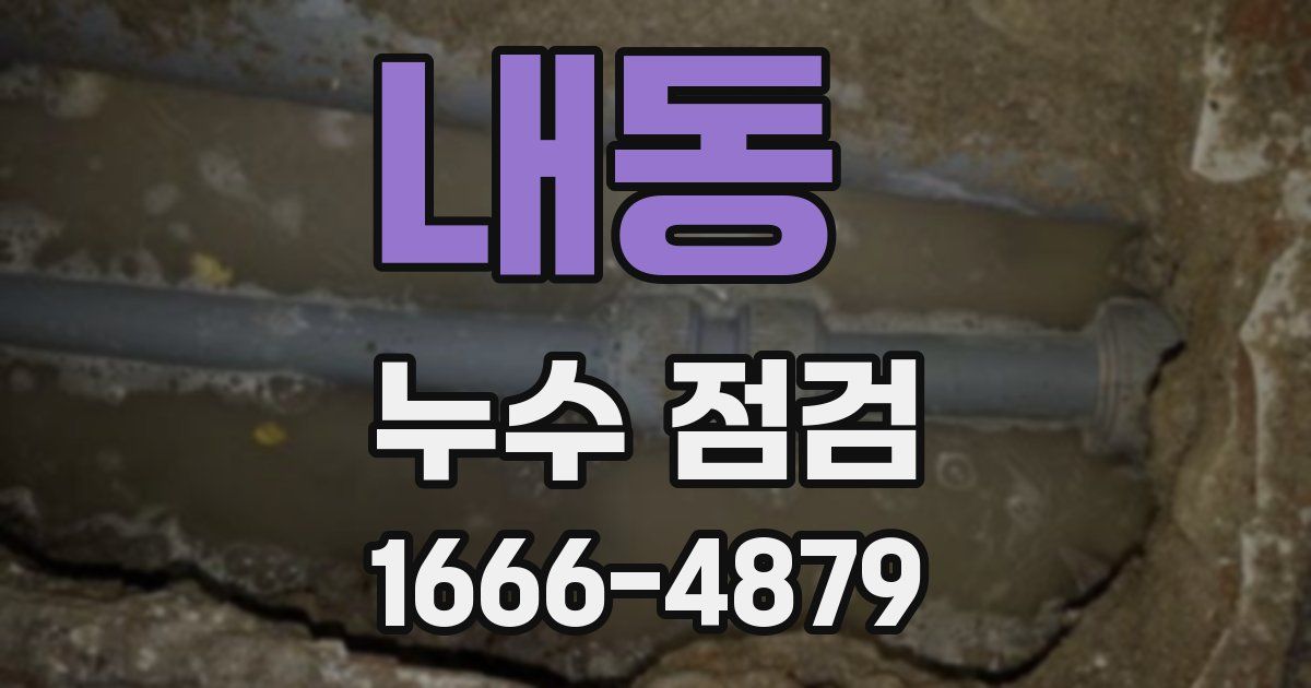 내동 누수 점검