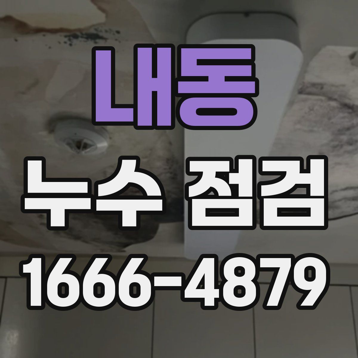 내동 누수 점검