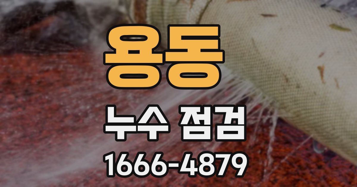 용동 누수 점검