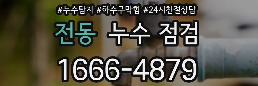 전동 누수 점검