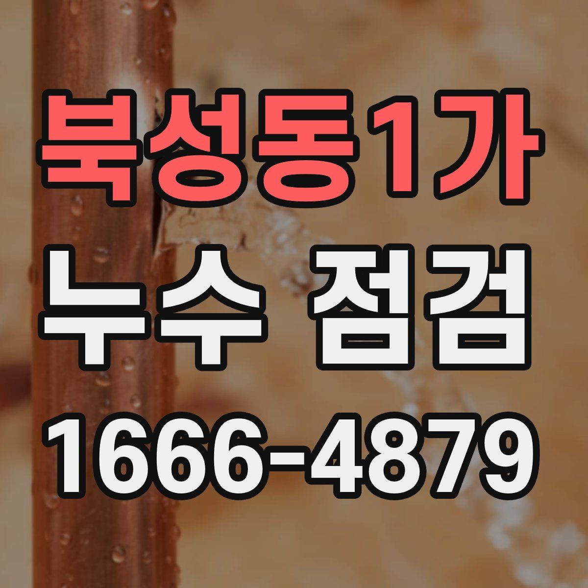 북성동1가 누수 점검