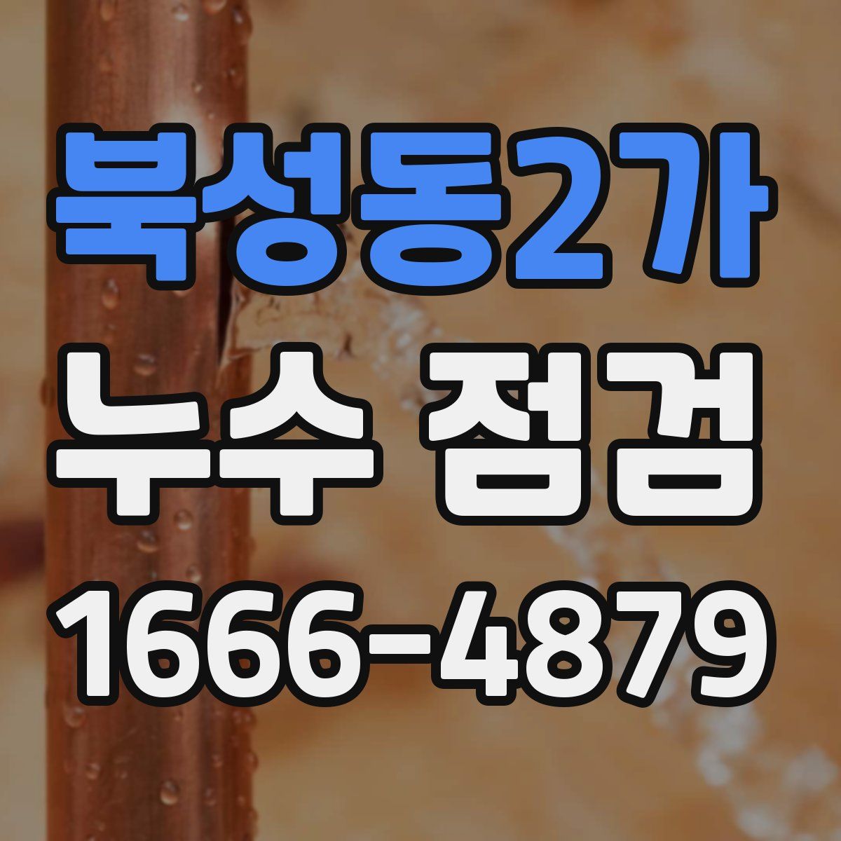 북성동2가 누수 점검