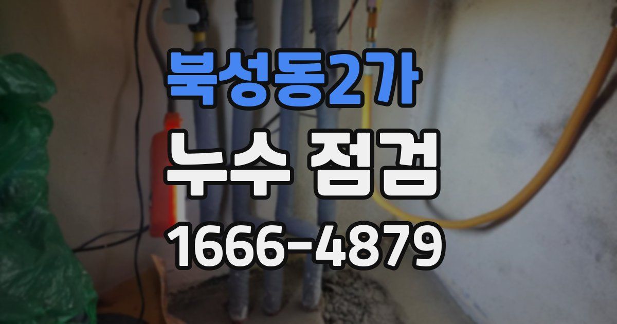북성동2가 누수 점검