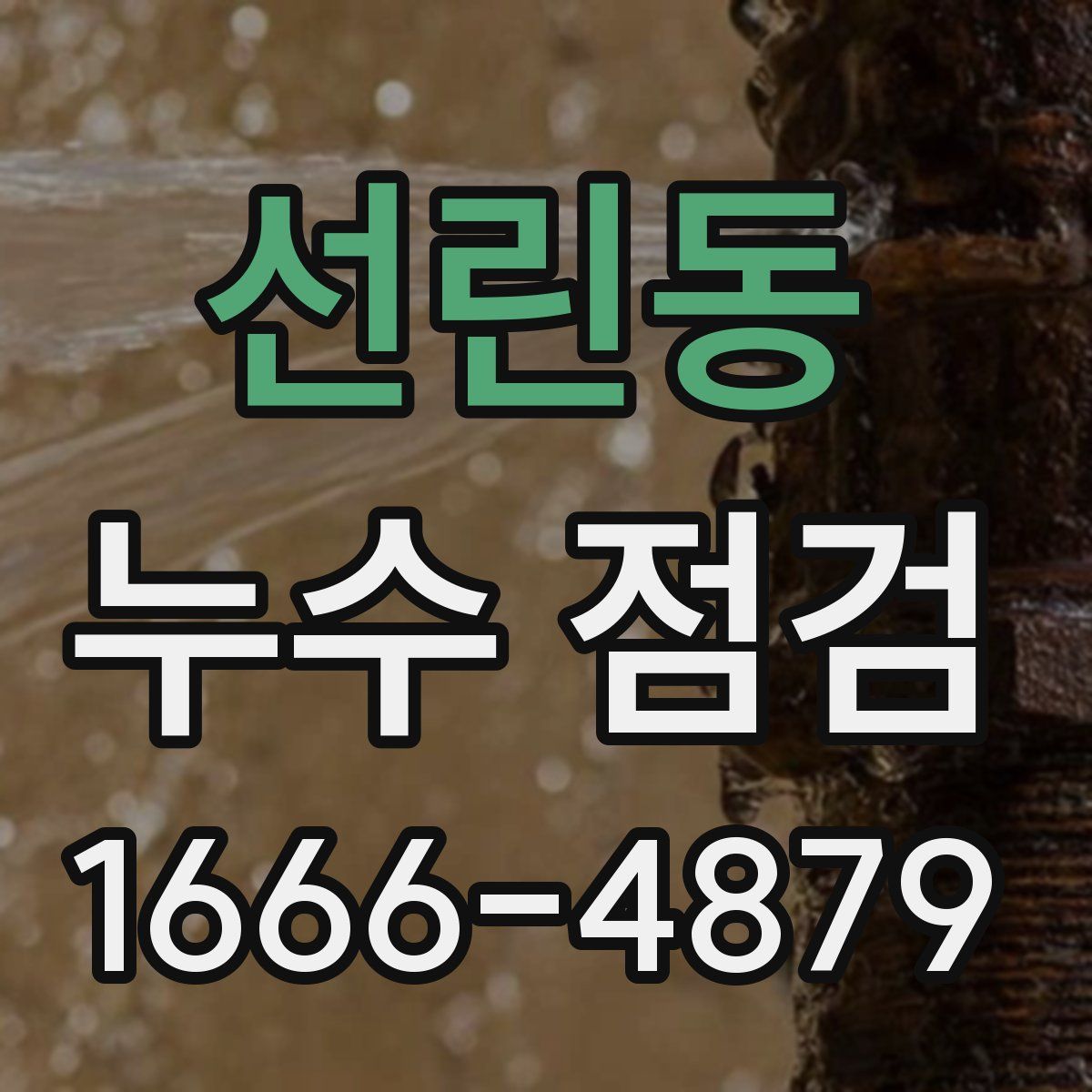 선린동 누수 점검