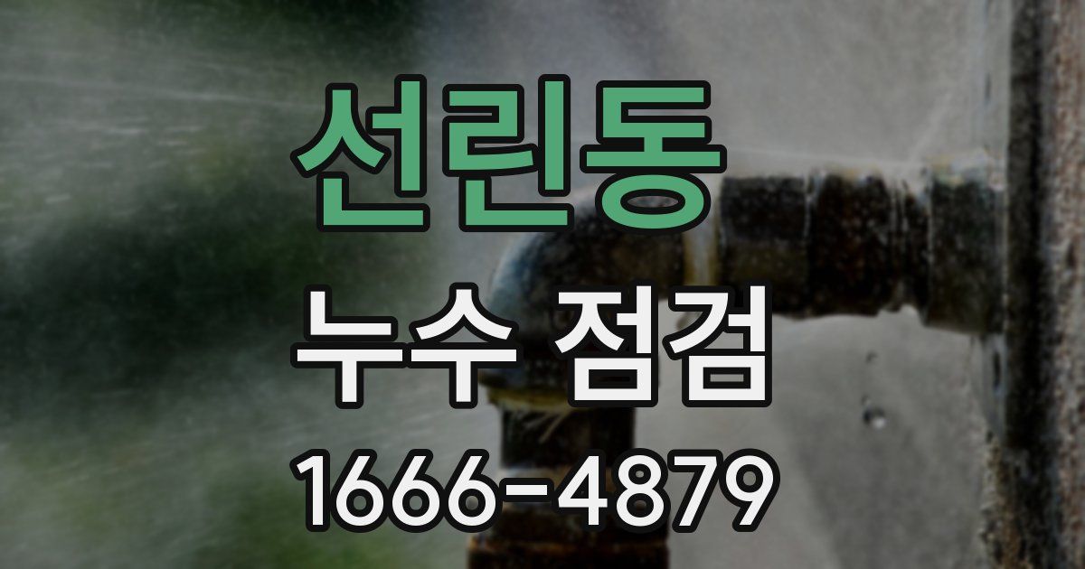 선린동 누수 점검