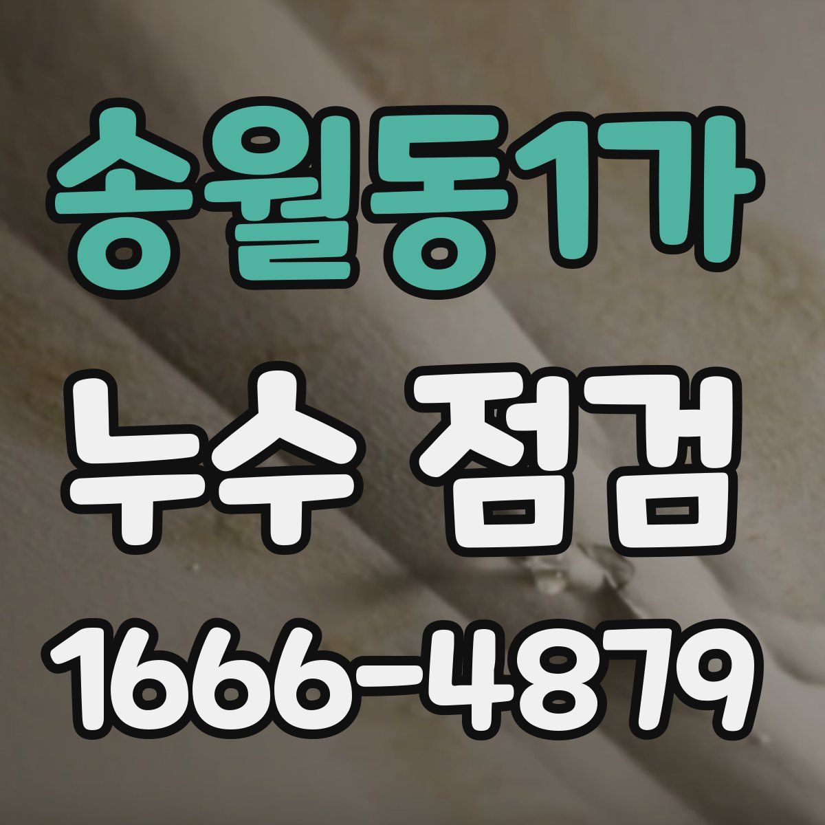 송월동1가 누수 점검