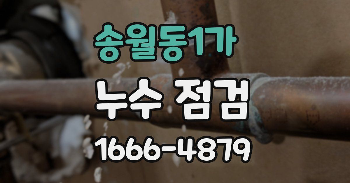 송월동1가 누수 점검