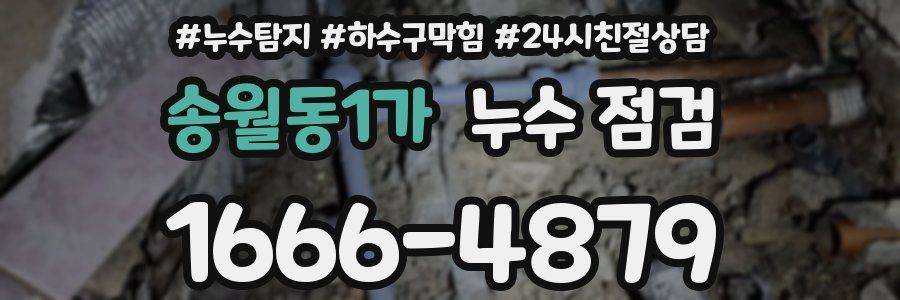 송월동1가 누수 점검