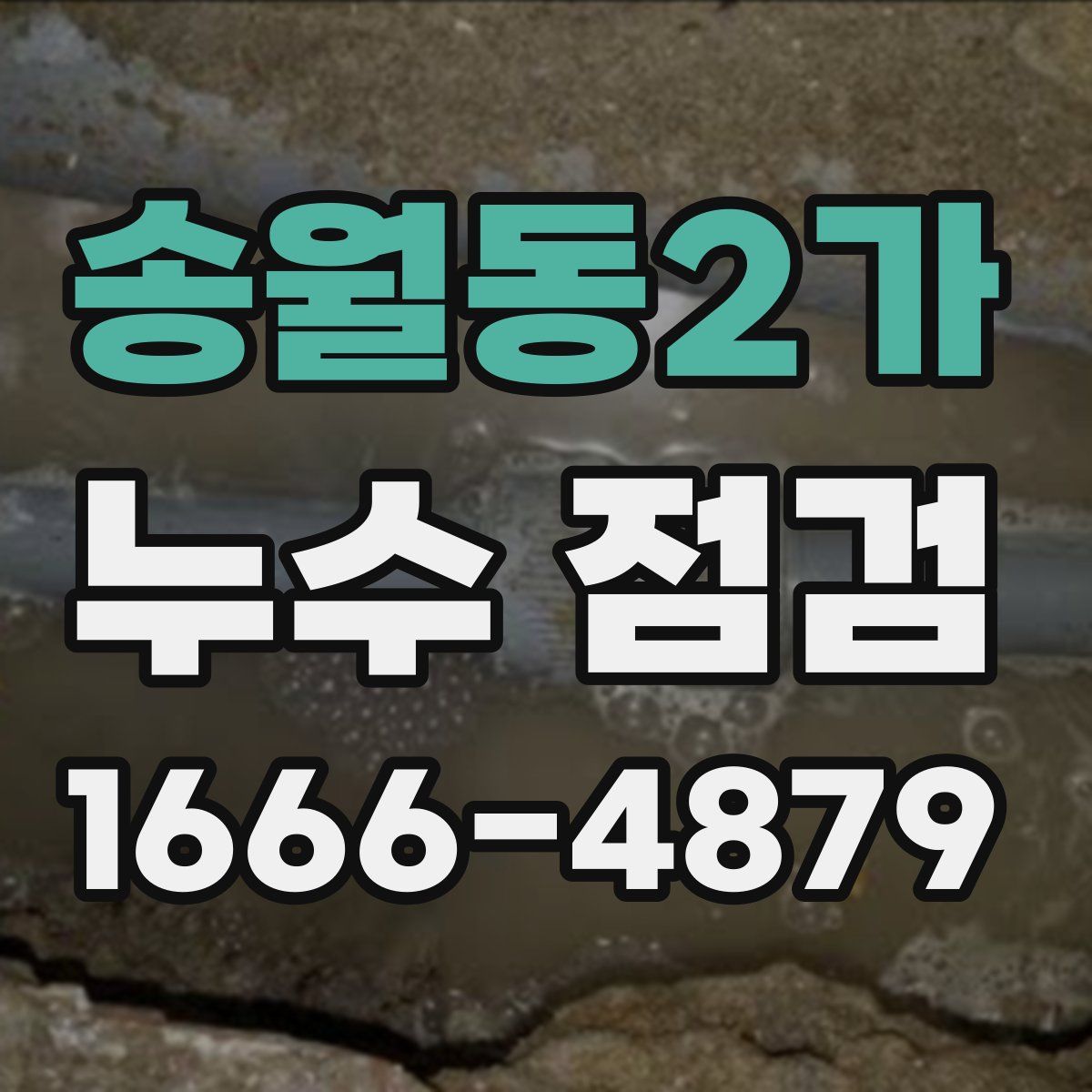 송월동2가 누수 점검
