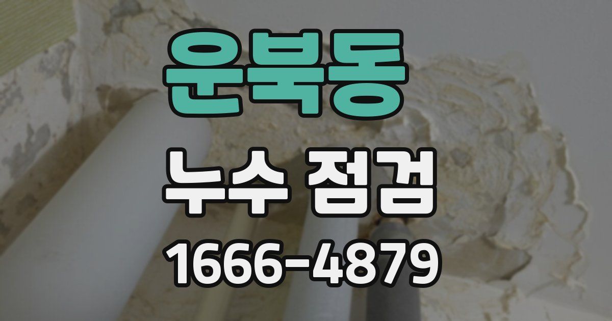 운북동 누수 점검