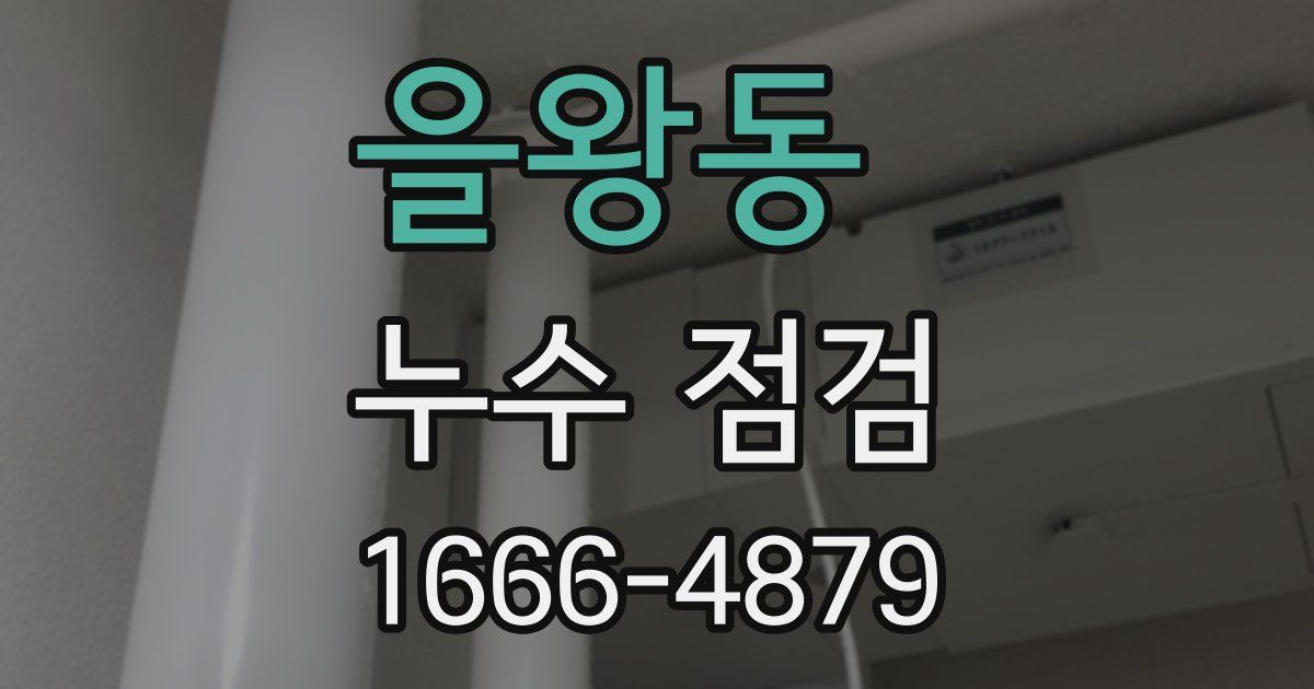 을왕동 누수 점검