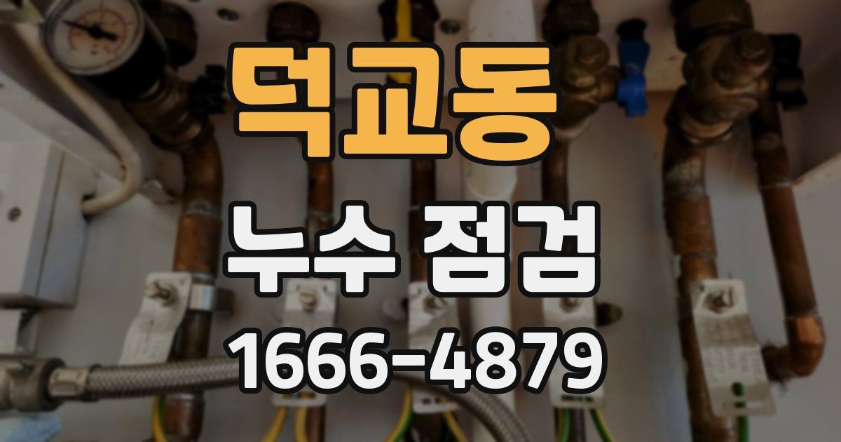 덕교동 누수 점검