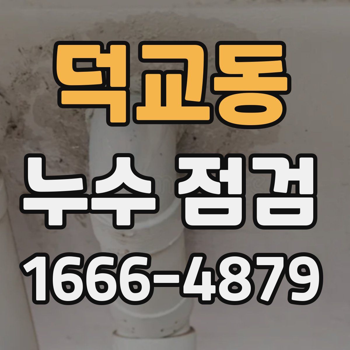 덕교동 누수 점검