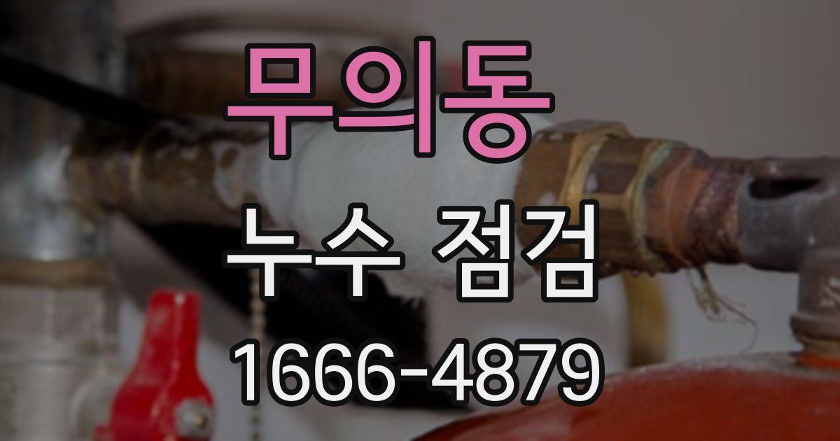 무의동 누수 점검