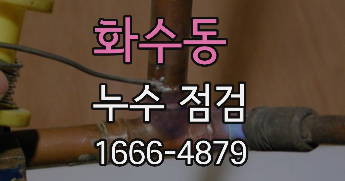 화수동 누수 점검