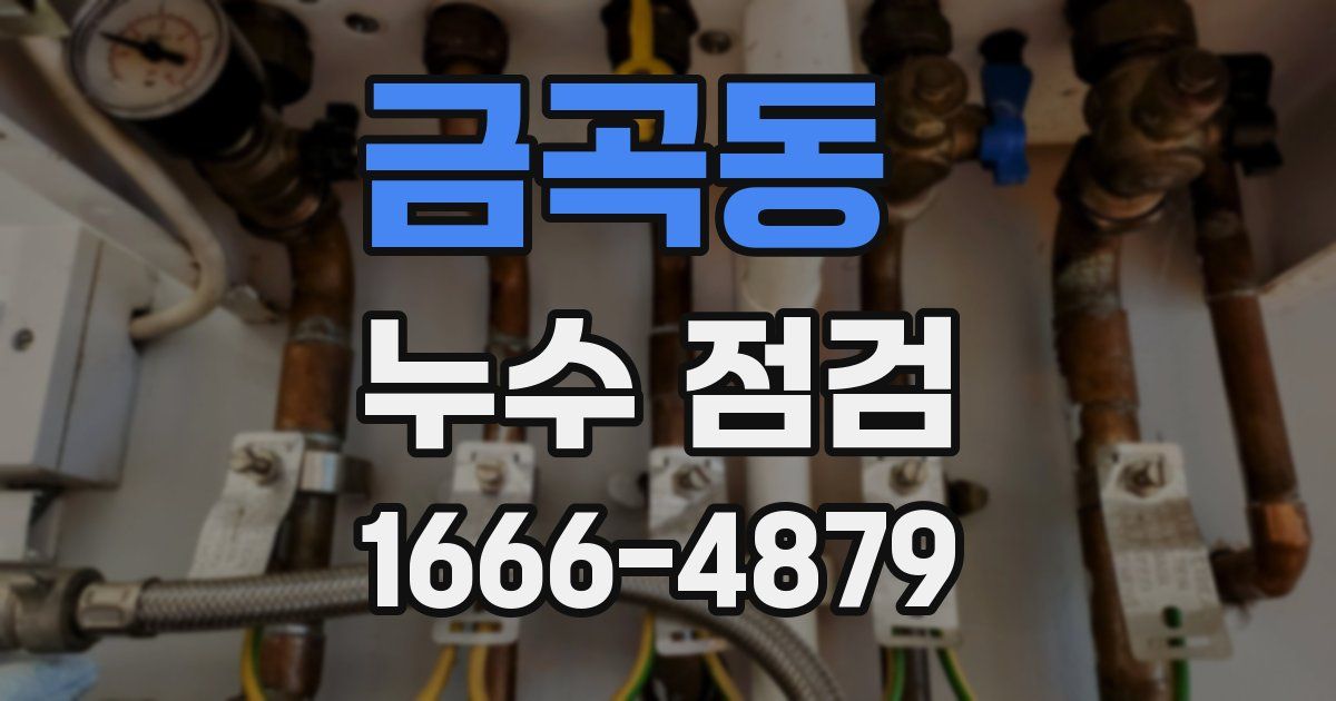 금곡동 누수 점검