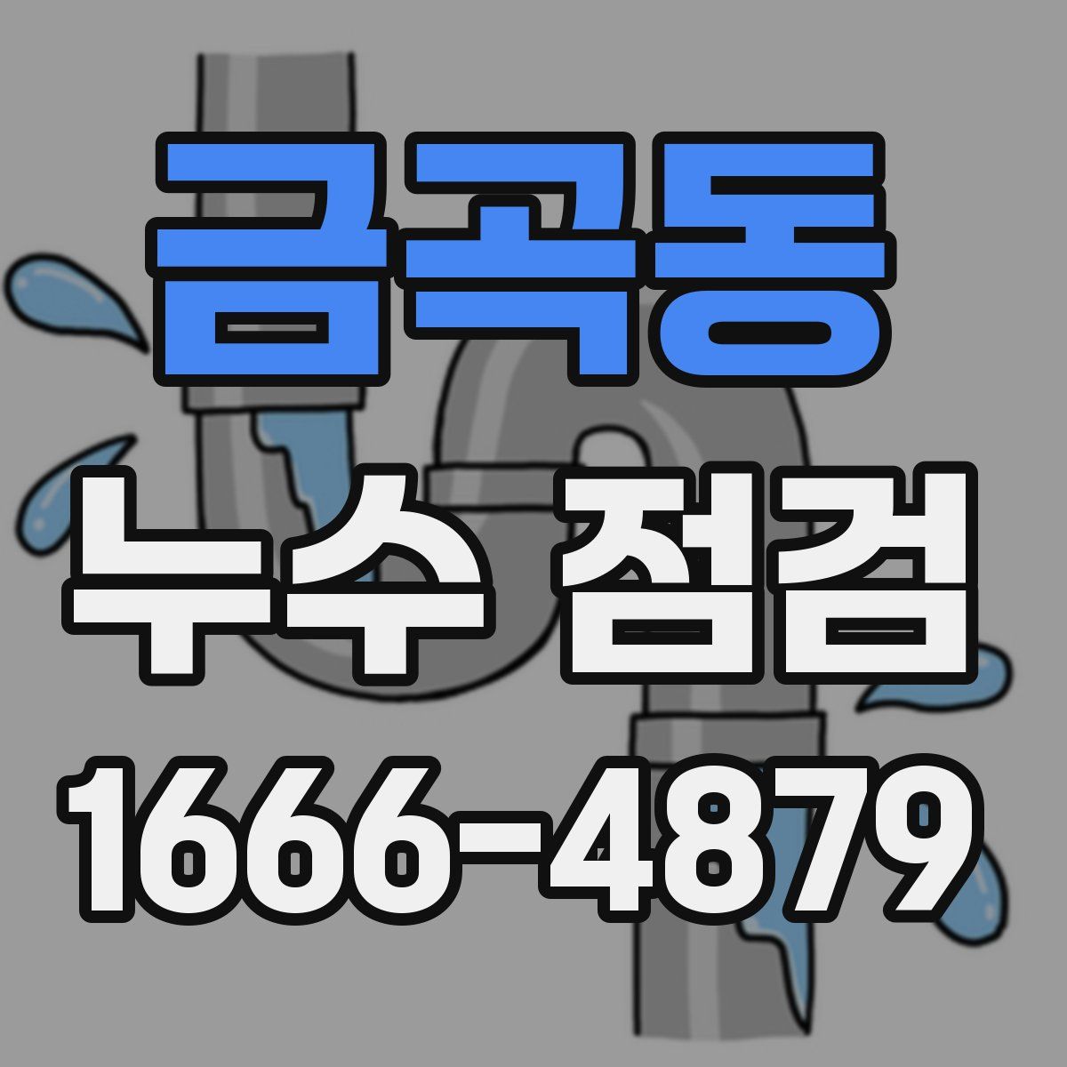 금곡동 누수 점검