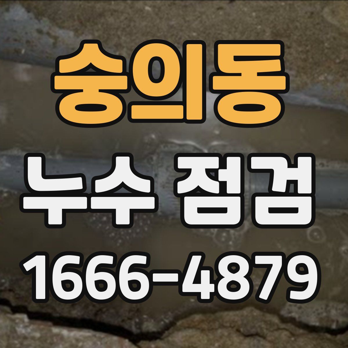숭의동 누수 점검