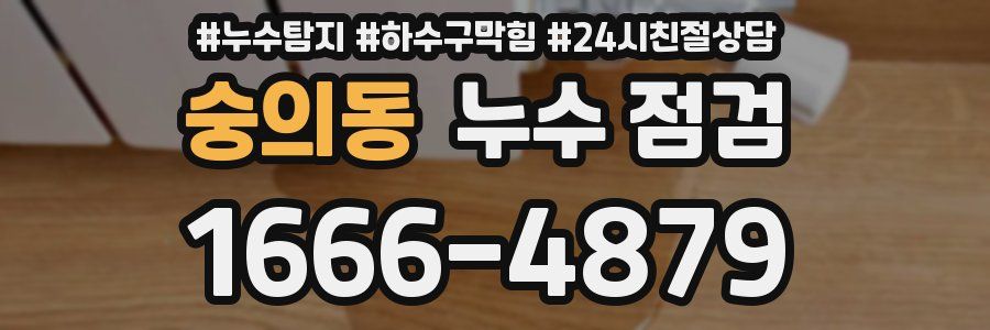숭의동 누수 점검