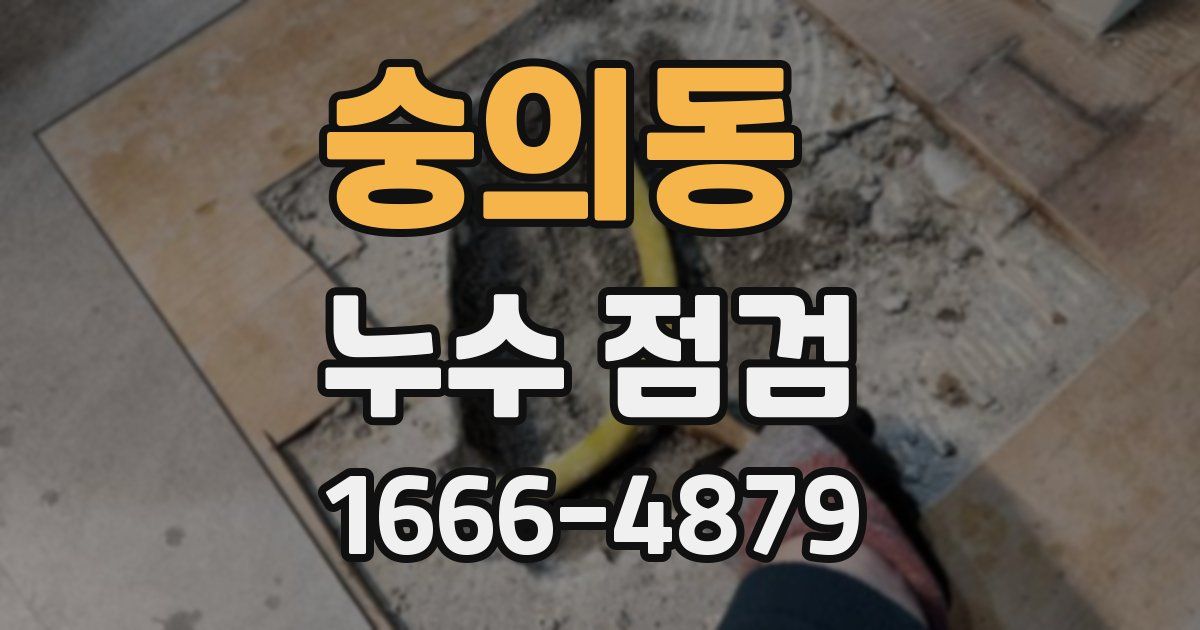숭의동 누수 점검