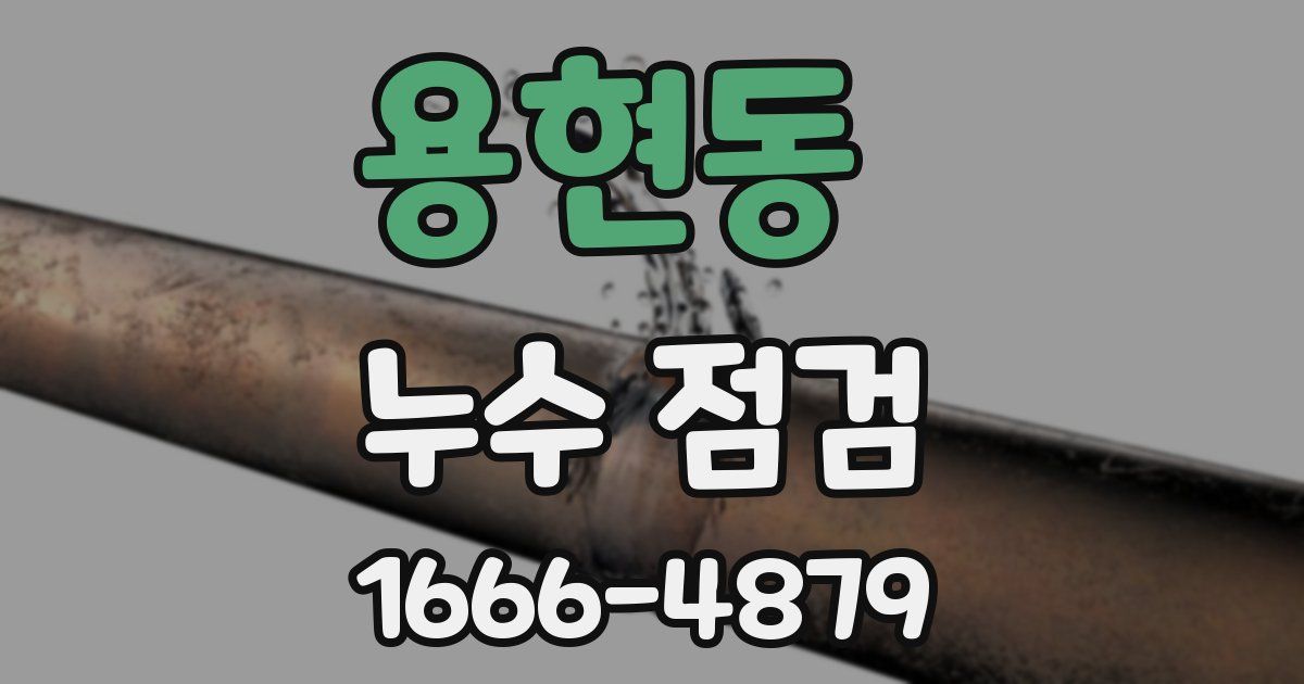 용현동 누수 점검
