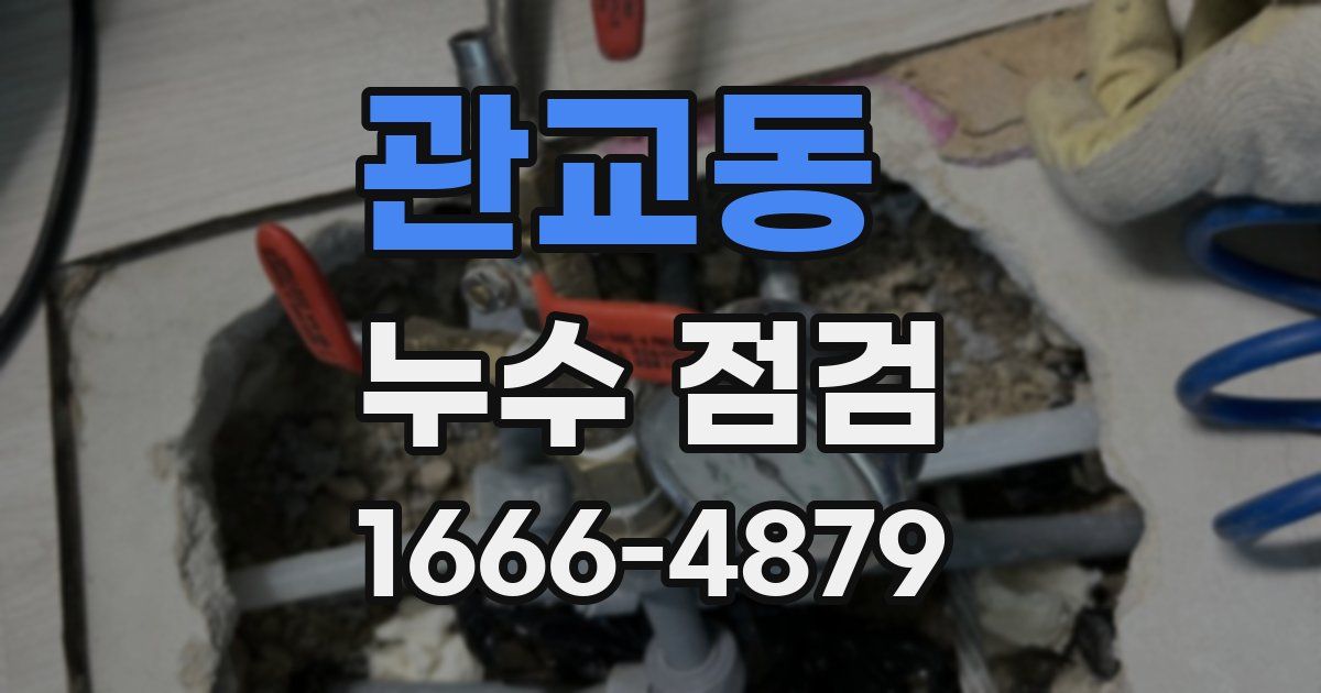 관교동 누수 점검
