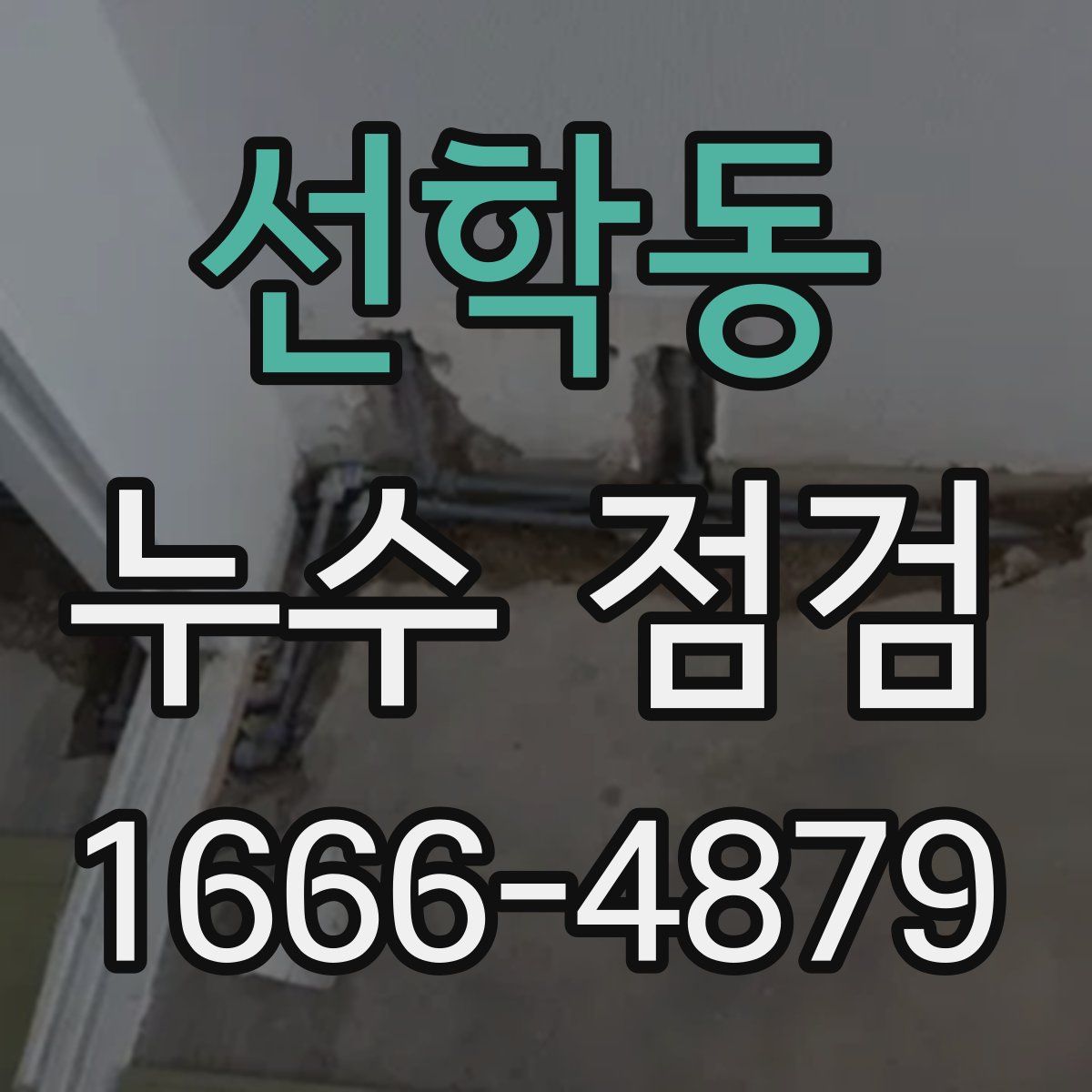 선학동 누수 점검