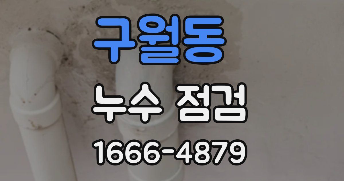 구월동 누수 점검