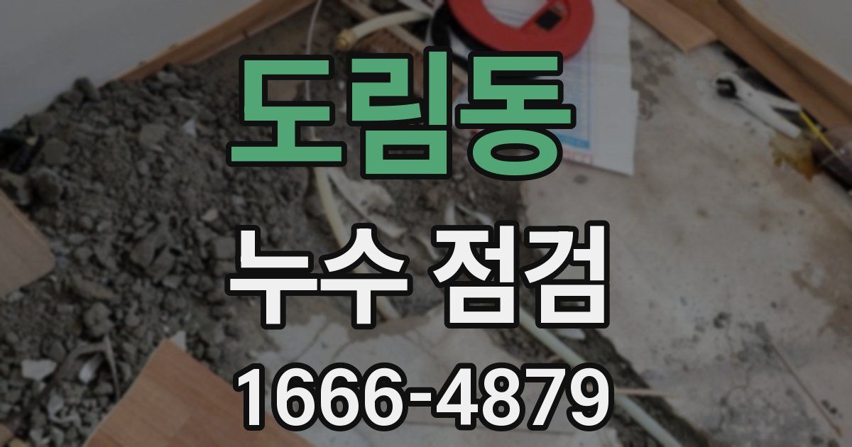 도림동 누수 점검