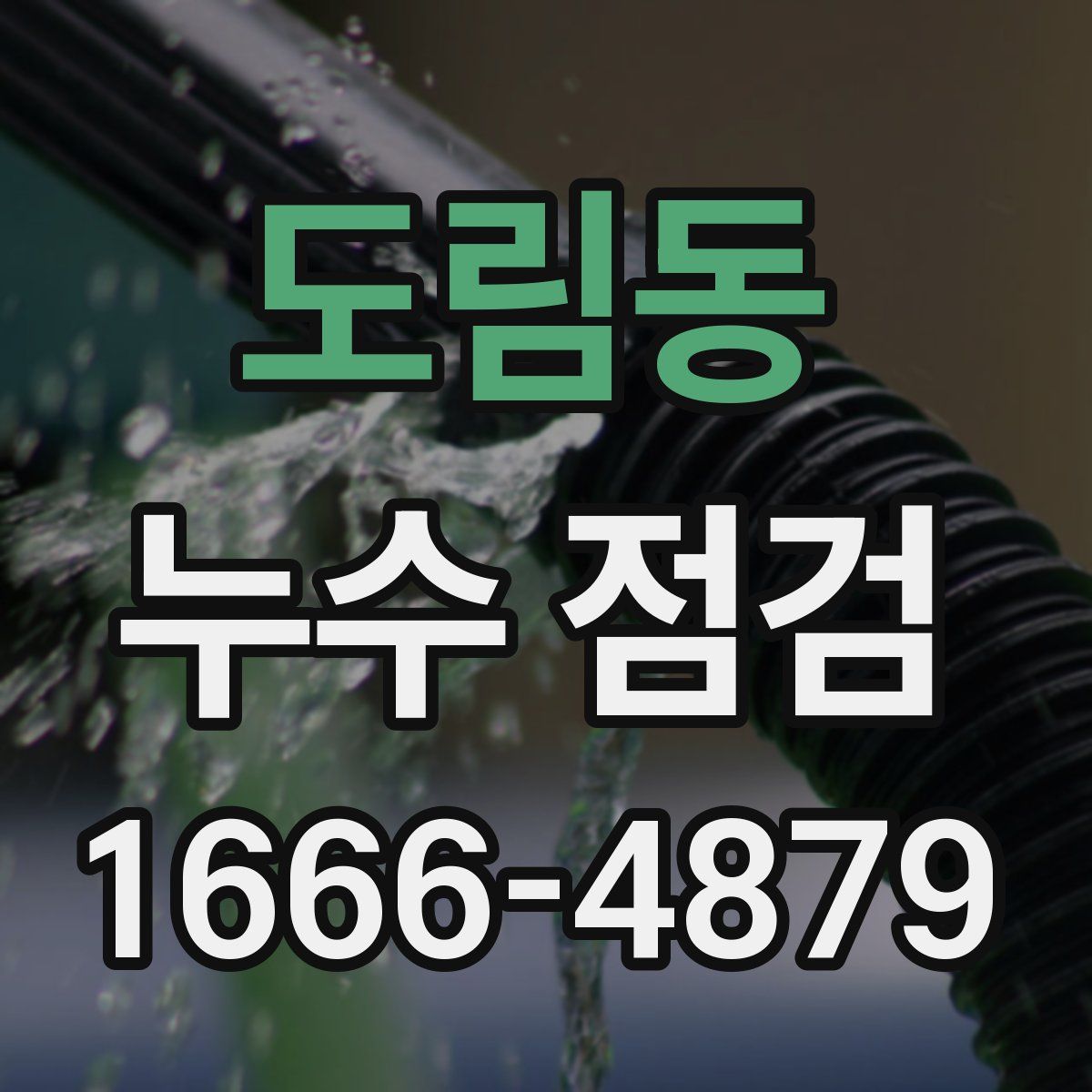 도림동 누수 점검