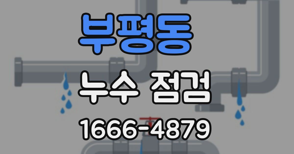 부평동 누수 점검