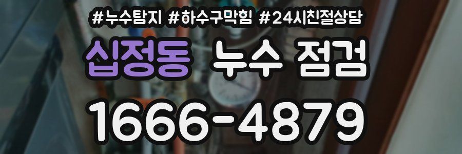 십정동 누수 점검