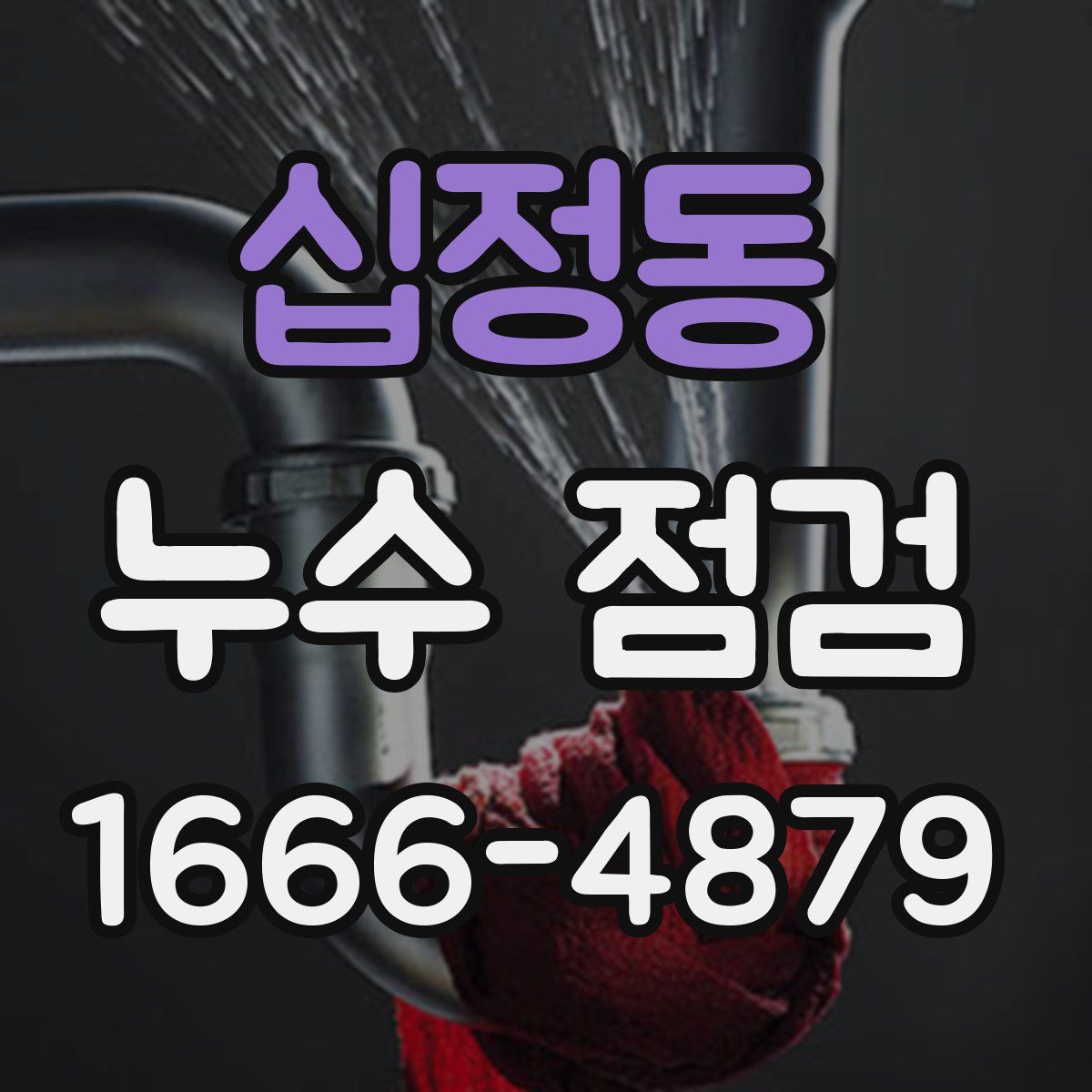 십정동 누수 점검