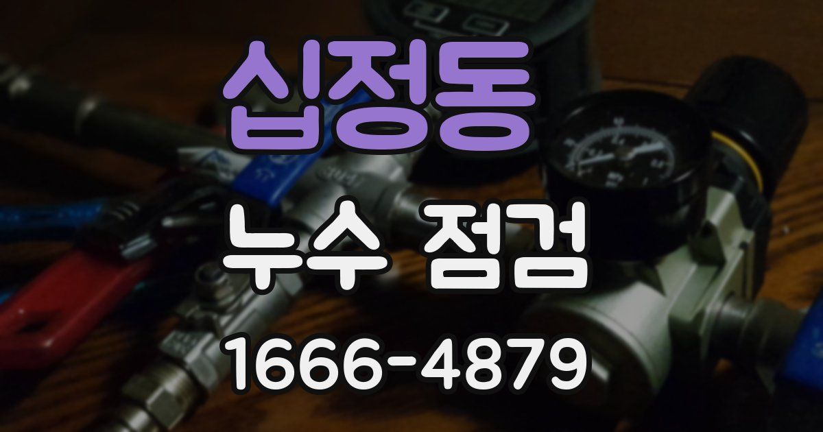 십정동 누수 점검