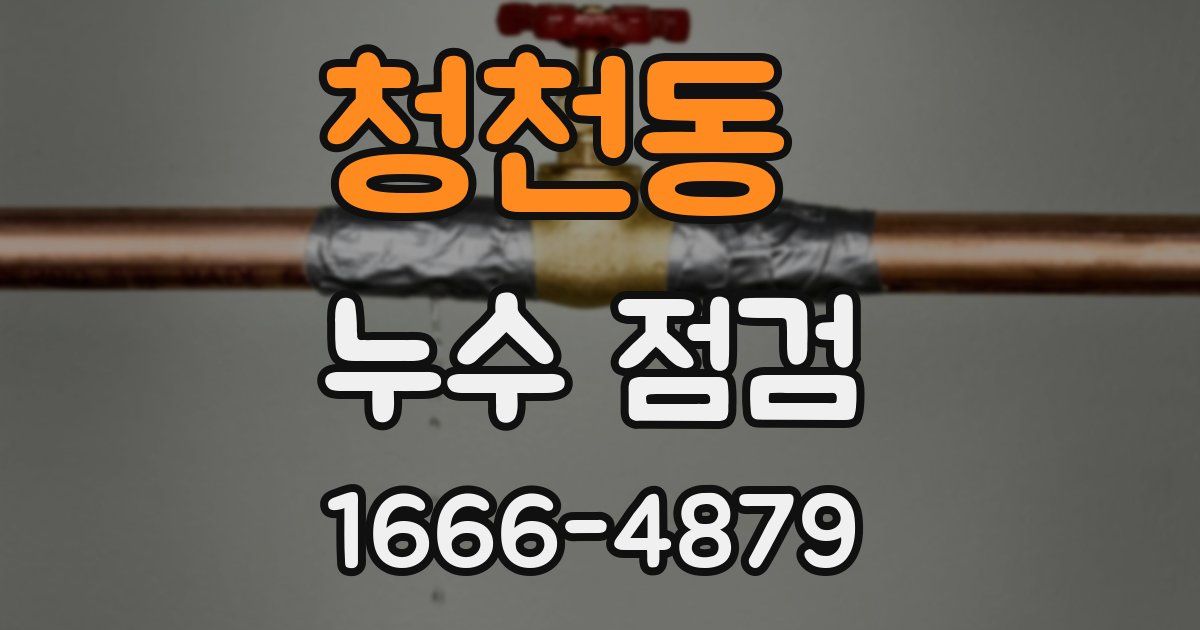 청천동 누수 점검