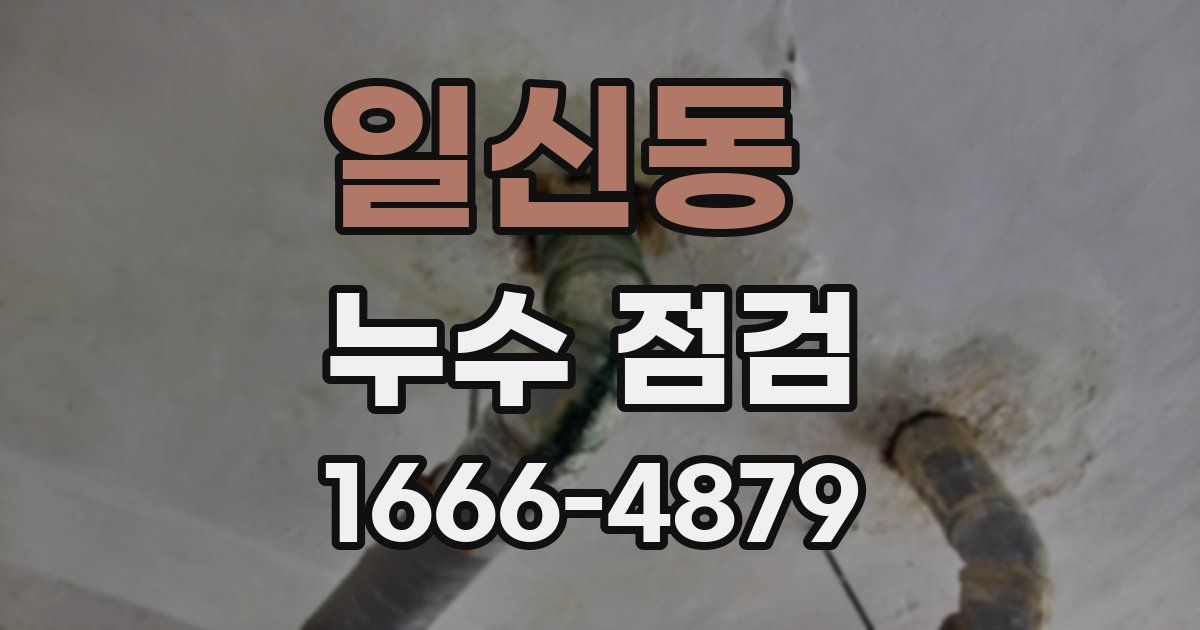 일신동 누수 점검