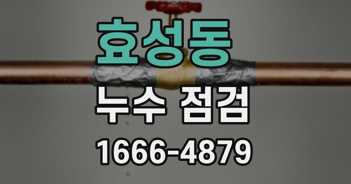 효성동 누수 점검