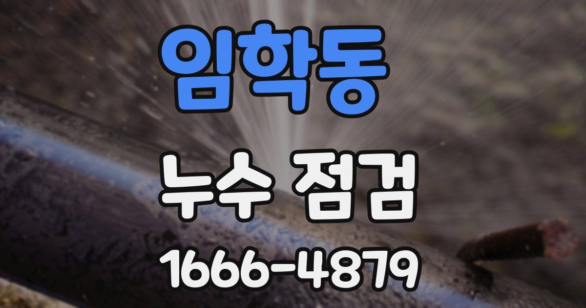 임학동 누수 점검
