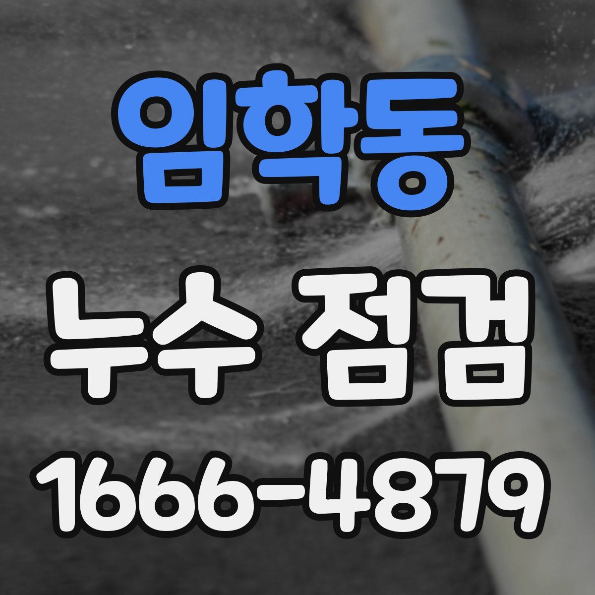 임학동 누수 점검