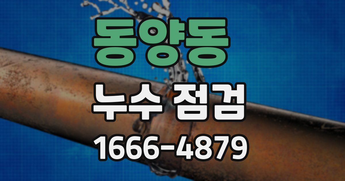동양동 누수 점검