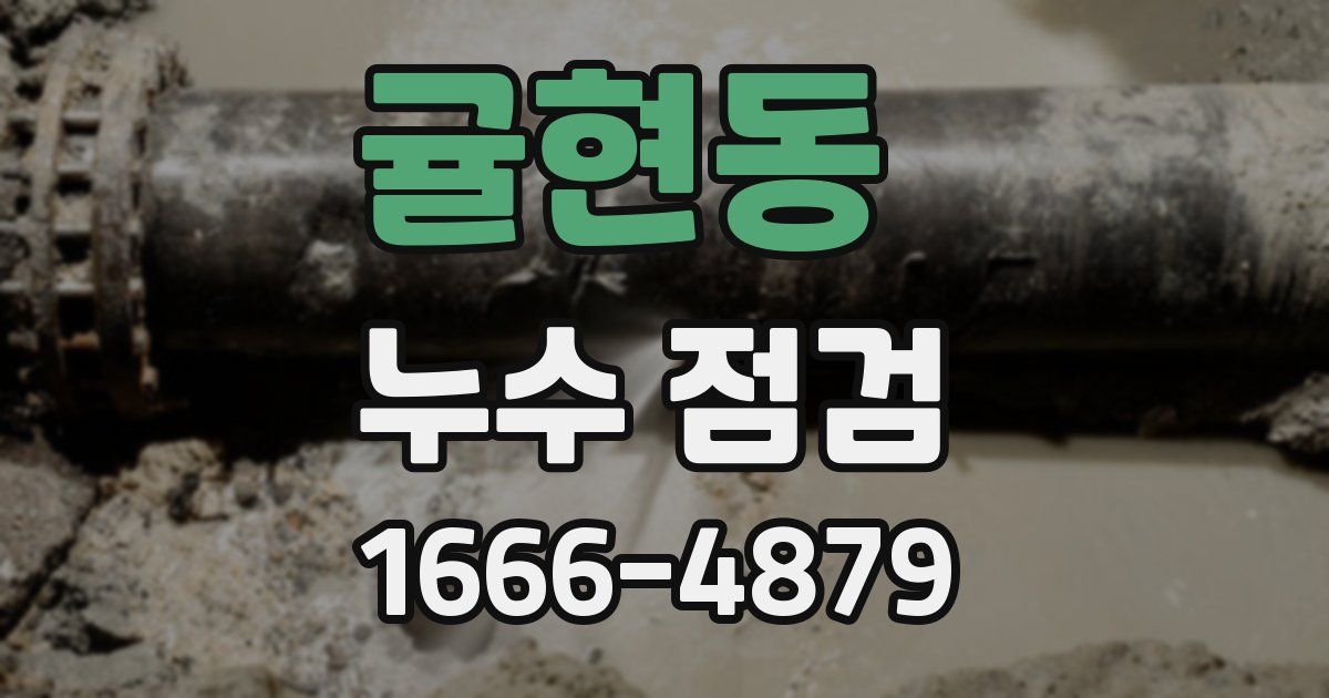 귤현동 누수 점검